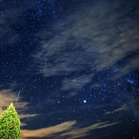Farm Stay Pirc Laško Exteriér fotografie
