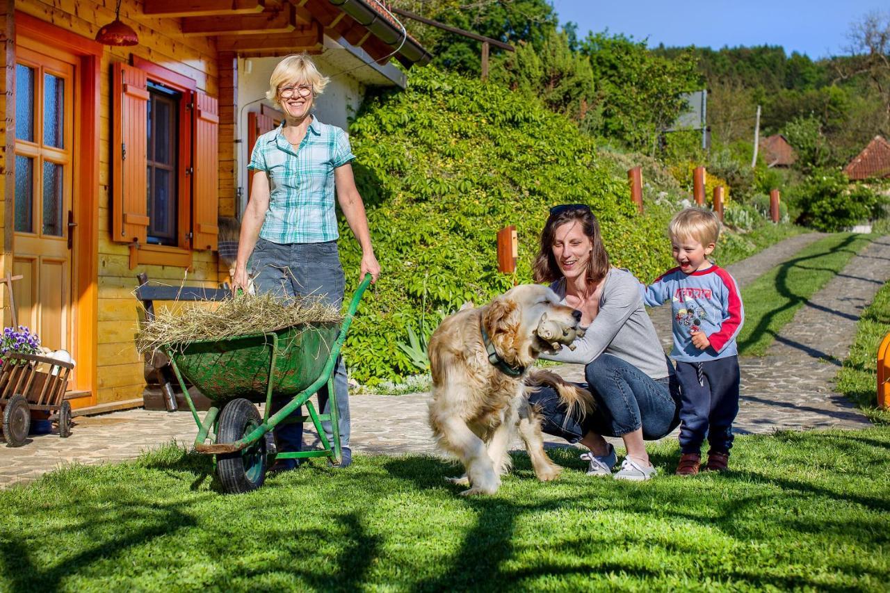 Farm Stay Pirc Laško Exteriér fotografie