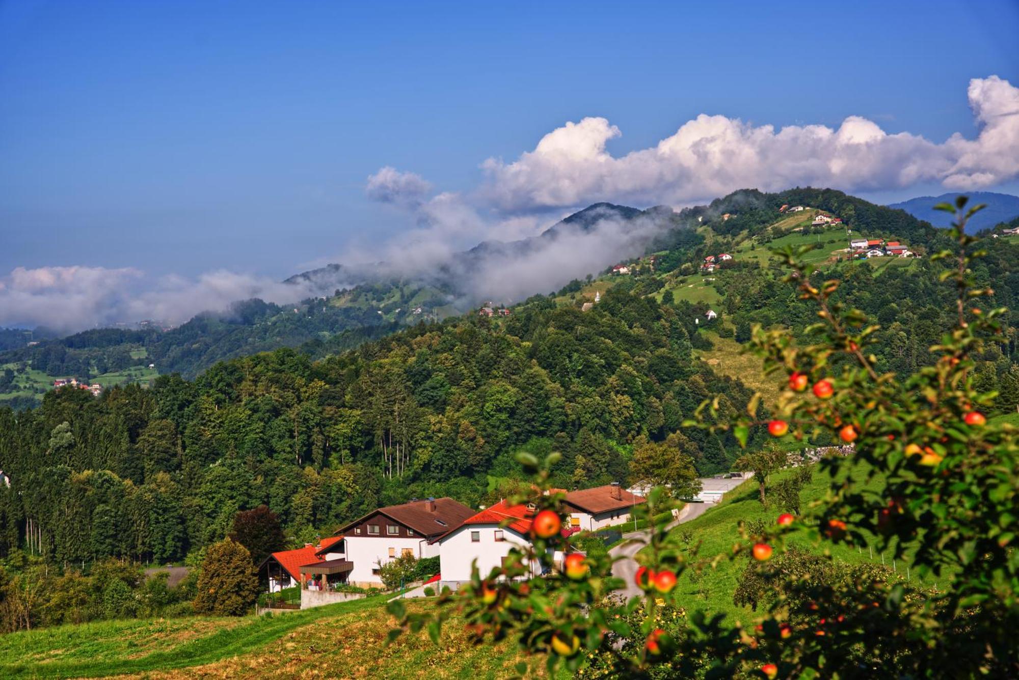 Farm Stay Pirc Laško Exteriér fotografie