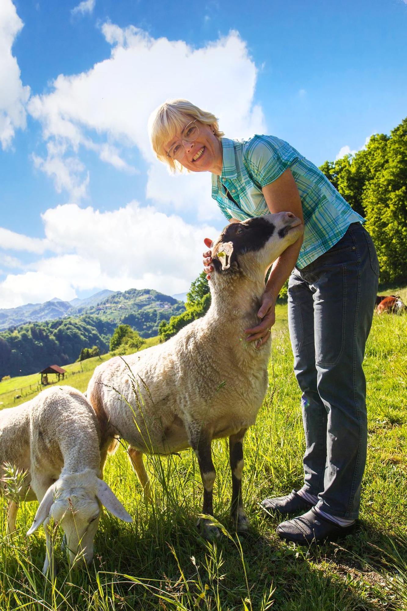 Farm Stay Pirc Laško Exteriér fotografie
