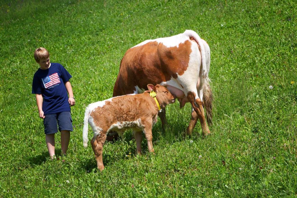 Farm Stay Pirc Laško Exteriér fotografie