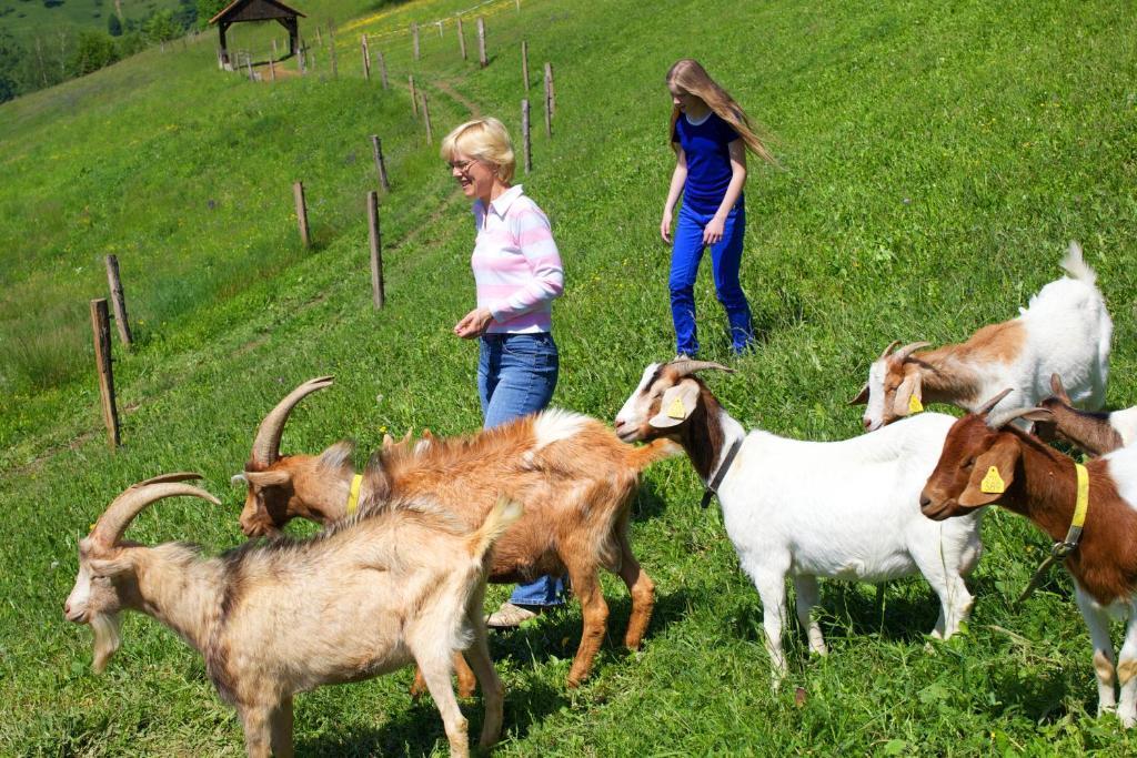 Farm Stay Pirc Laško Exteriér fotografie