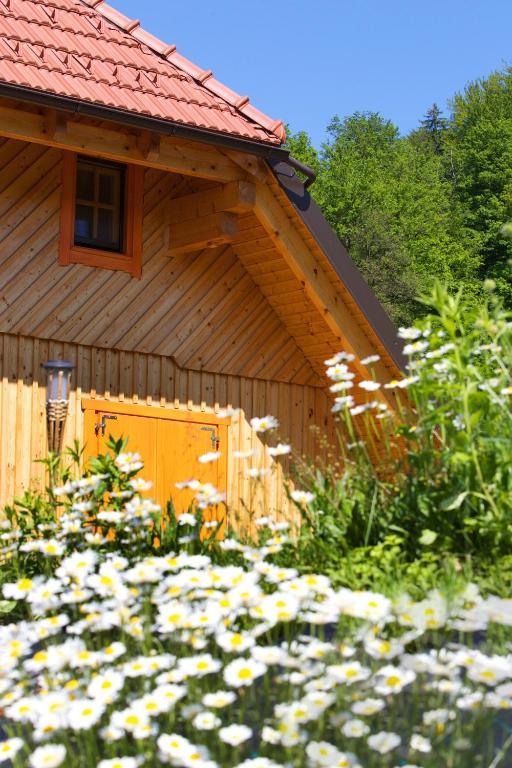 Farm Stay Pirc Laško Exteriér fotografie